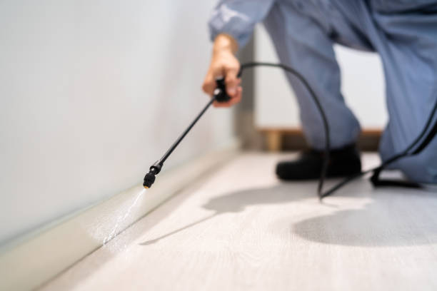 Licensed Pest Control service in Oskaloosa, KS - Show Me Pest Control