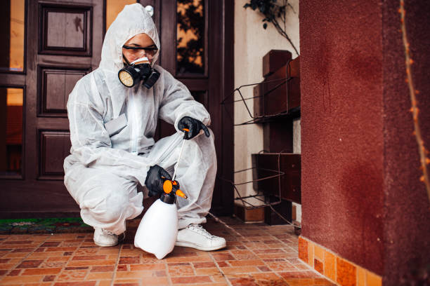 Reliable Ant Control contractor in Oskaloosa, KS by Show Me Pest Control